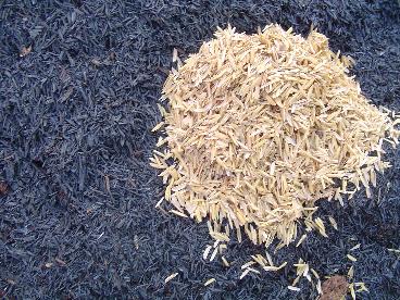 Casca de arroz carbonizada